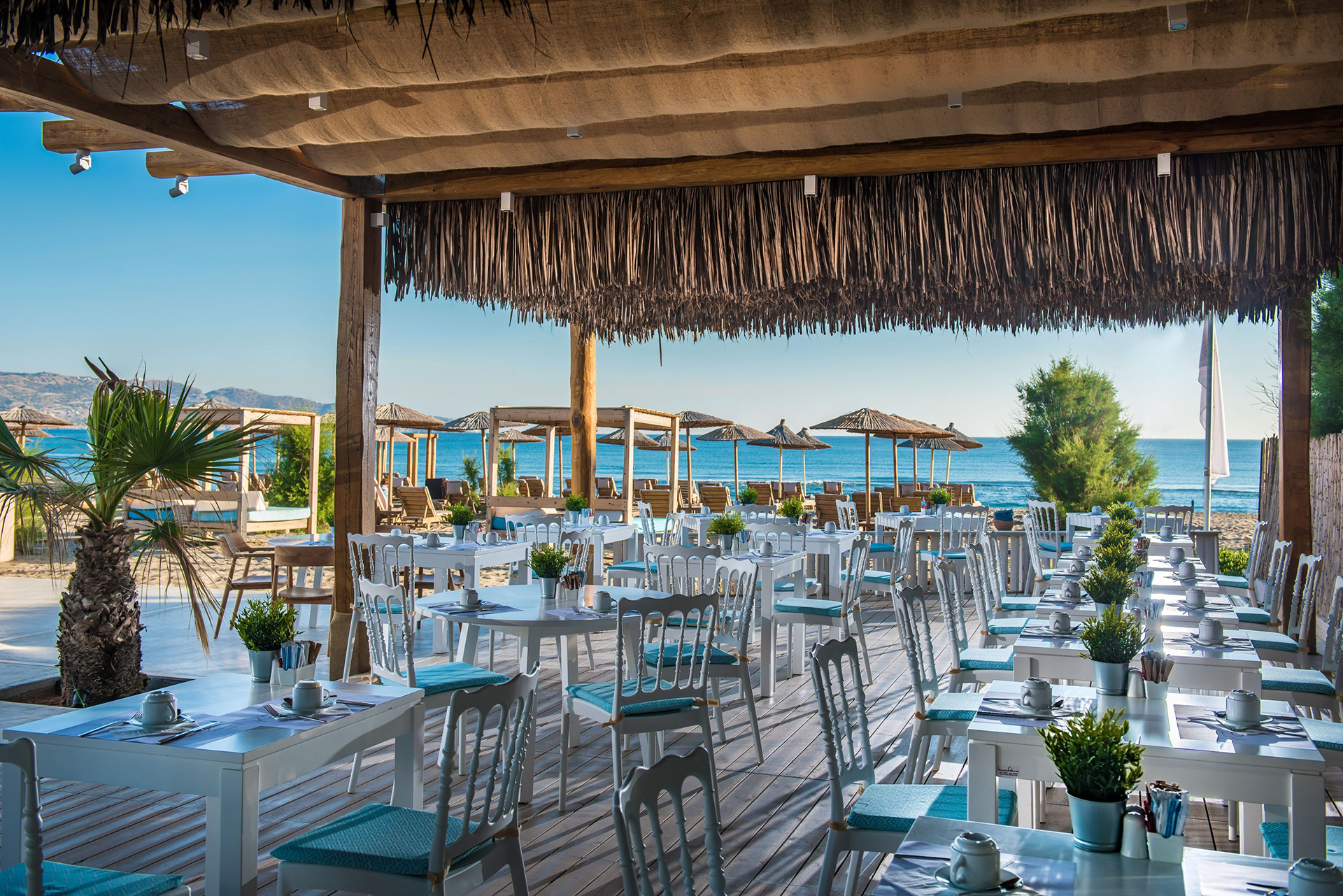 Armonia Eatery Lifestyle Beach Resort